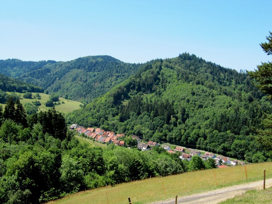 village and green forest in the valley