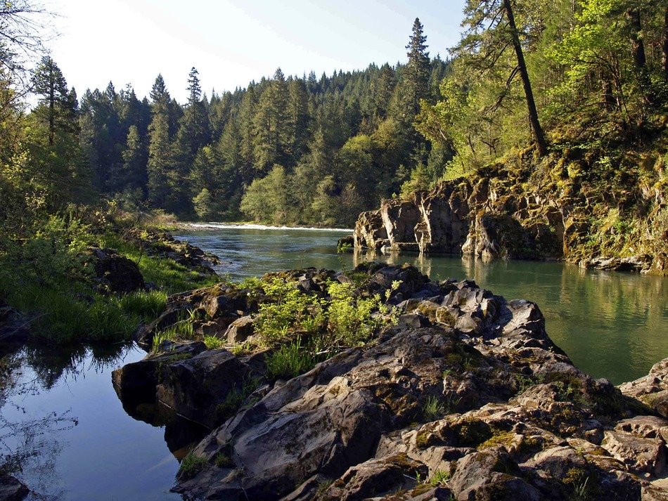 Landscape of the rocky river