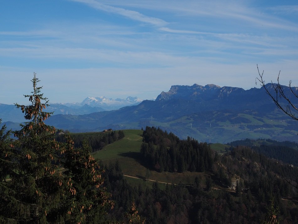 Panoramic Picture of the alpines