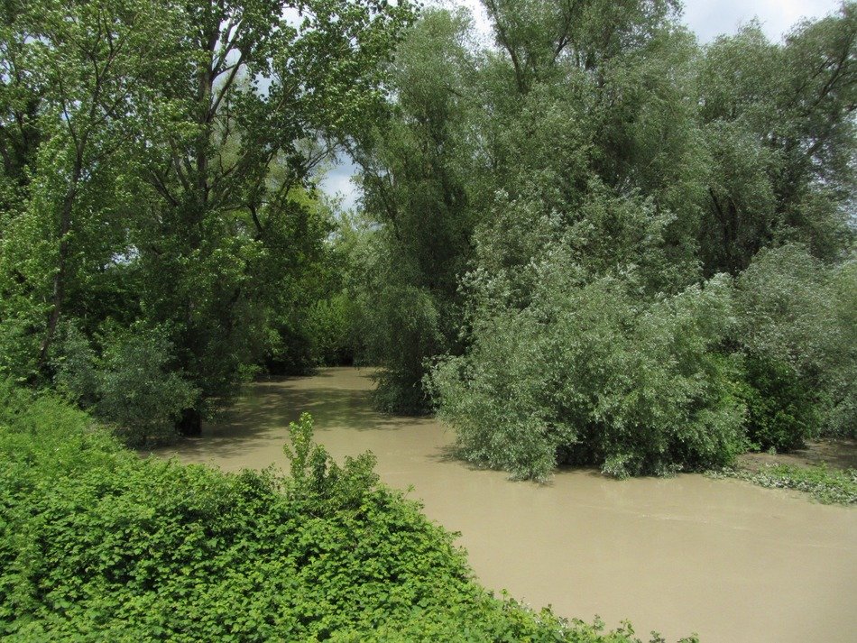 landscape of dirty river with high water