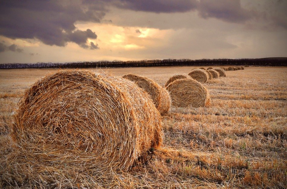 Landscape of parcel field in autumn