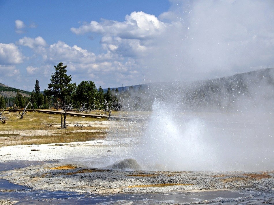 volcanic geyser in Yellowstone National Park