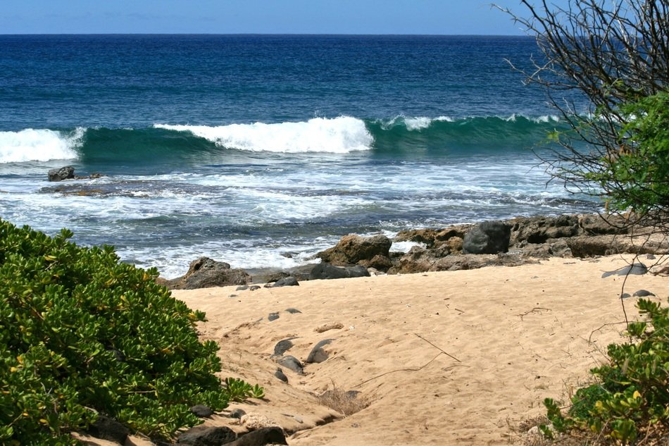 waves at summer beach