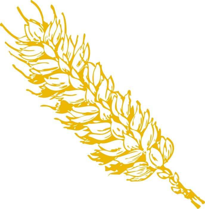 graphic image of the golden ear