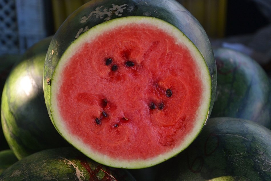 cut juicy watermelon