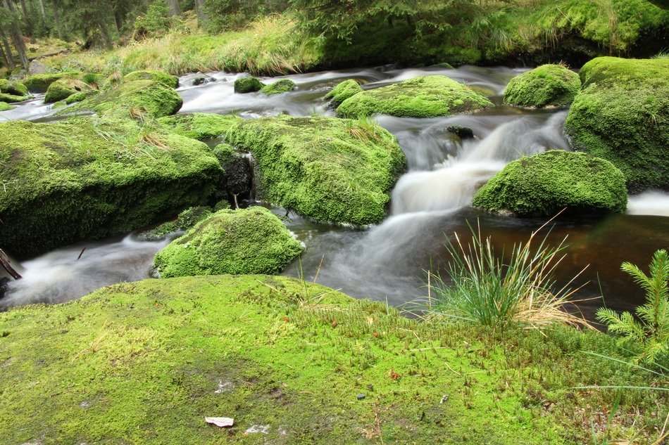 river in south bohemia Ð¡zech Republic