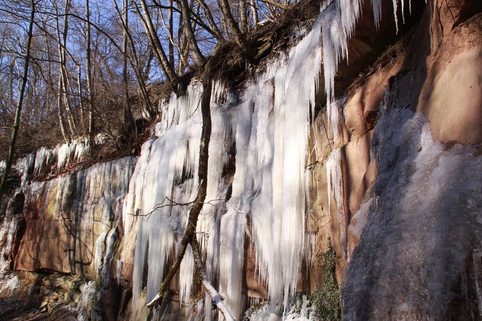 ice formations in the forest