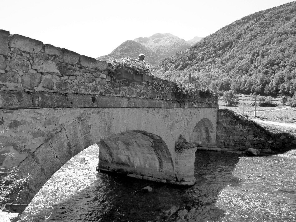 bridge over the river in black and white