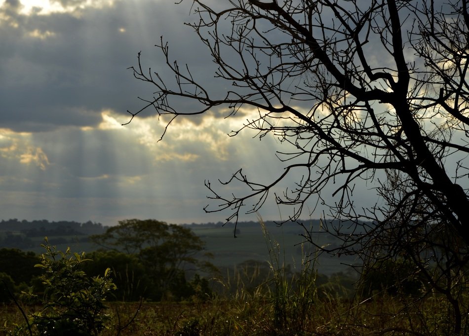 end of afternoon in Brazil