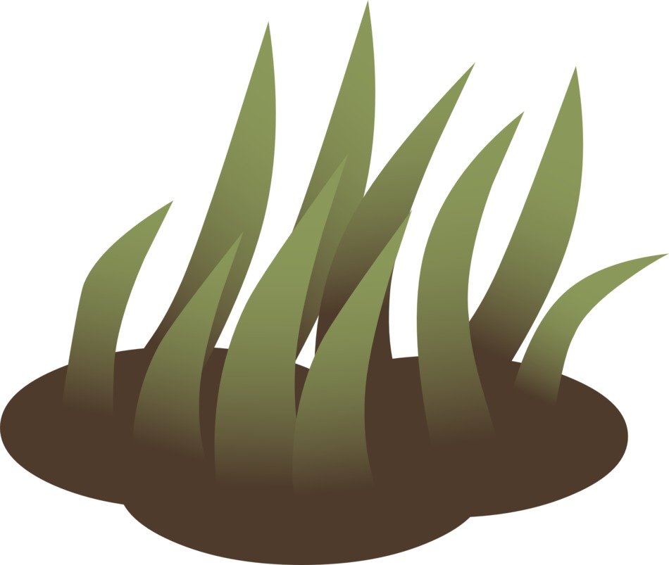 drawing of green grass on the ground in computer graphics