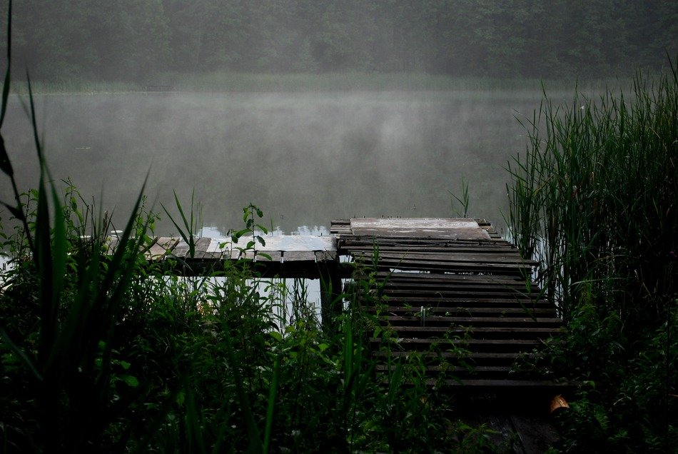 wooden masonry on the lake