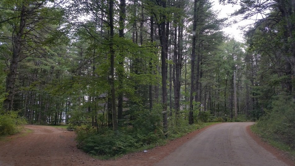 landscape of crossroads in the forest among the trees