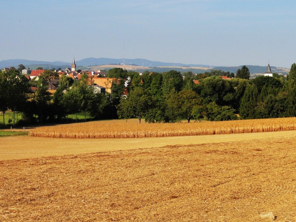 summer schnersheim field landscape
