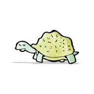 Cartoon Tortoise N5