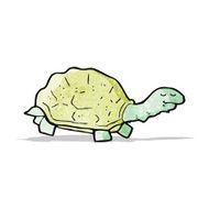 Cartoon Tortoise N6