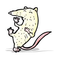cartoon white lab rat N6