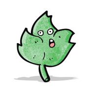 Cartoon Leaf N16