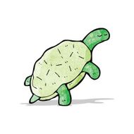 Cartoon Turtle N24