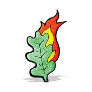 Cartoon Leaf N19