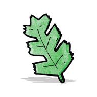 Cartoon Leaf N20