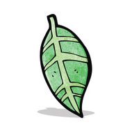 carton leaf