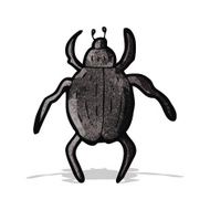 Cartoon Beetle N3