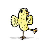 Cartoon Bird N27