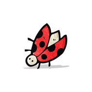Cartoon Ladybug N24