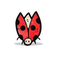 Cartoon Ladybug N25