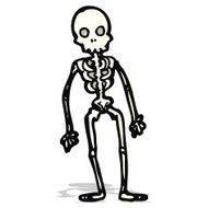 Cartoon Skeleton N5