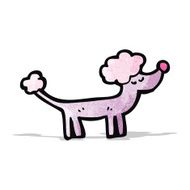 Cartoon Poodle N15