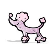 Cartoon Poodle N16