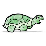 Cartoon Tortoise N8