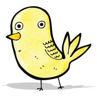 cartoon funny bird