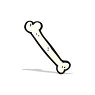 Cartoon Bone N5