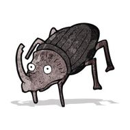 Cartoon Beetle N7