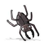 Cartoon Beetle N8
