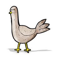 Cartoon Pigeon N5