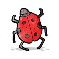 Cartoon Beetle N11