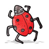 Cartoon Beetle N12