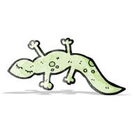 Cartoon Lizard N20