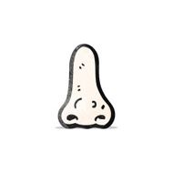 Cartoon Nose N17
