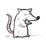cartoon white rat