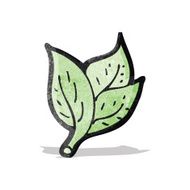 Cartoon Leaf N25