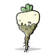 Cartoon Turnip N3