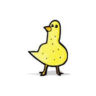 Cartoon Bird N34
