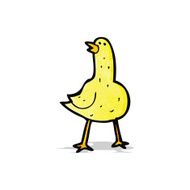 Cartoon Bird N35