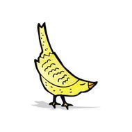 Cartoon Bird N42