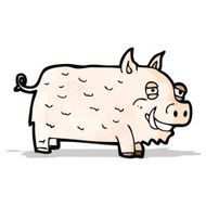 Cartoon Pig N34