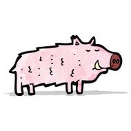 Cartoon Pig N35